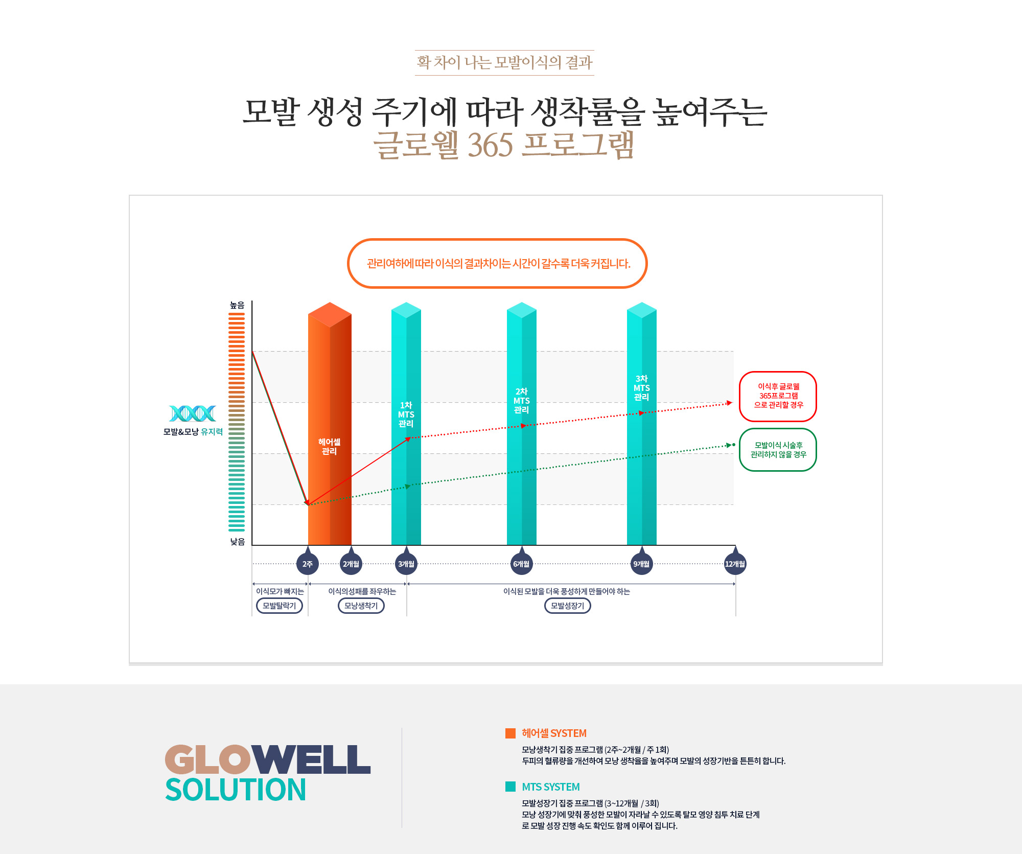 모발 생성 주기에 따라 생착률을 높여주는 프로그램 글로웰 365 프로그램