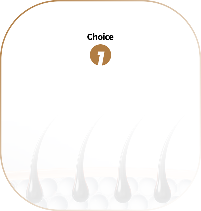 Choice 1 배경