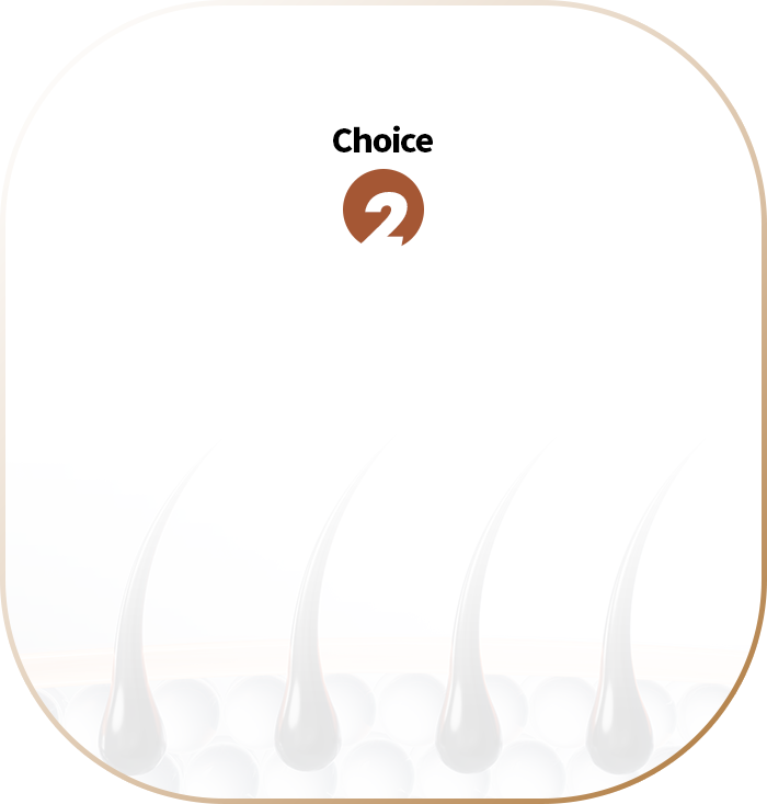 Choice 2 배경