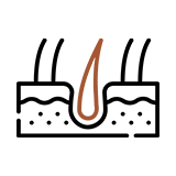 毛髪密度イラスト